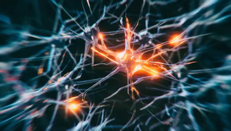 Alzheimer Vakaları Neden Artıyor? Uzmanlardan Önemli Açıklamalar