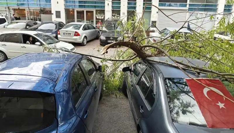 Kayseri'de Dalları Kıran Fırtına: Doğa İle Mücadele!