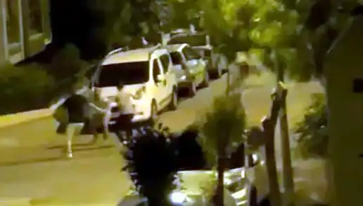 Avcılar’da Sokak Saldırısı: 3 Kişiye Karşı Tek Başına Direnen Vatandaşın Mücadelesi