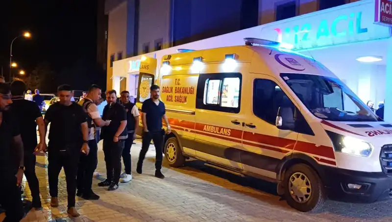 Kardeşi Kavga Eden Çiftin Arasına Girdi, Feci Sonuçla Karşılaştı