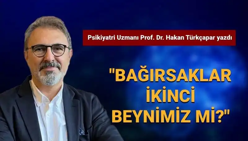 Yeni Araştırmalar Bağlılık ve Zihin Sağlığında Bağırsakların Rolünü Ortaya Koyuyor