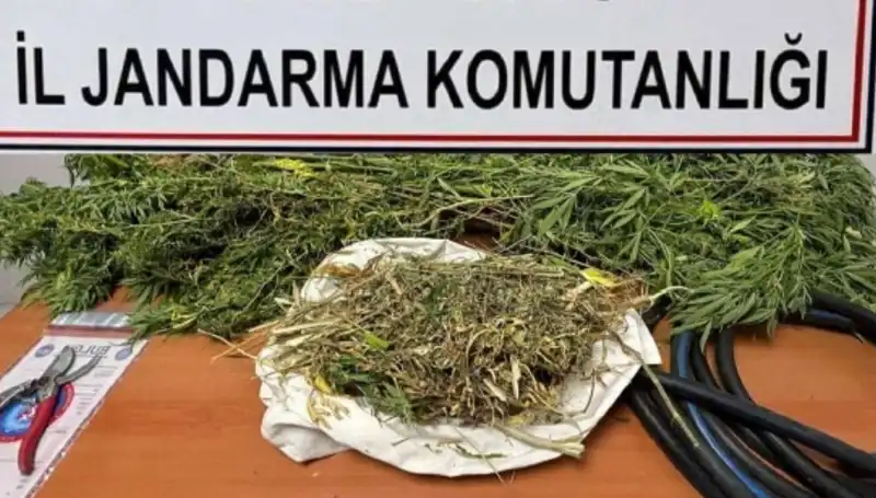 Niğde'de Dev Uyuşturucu Operasyonu: Çok Sayıda Gözaltı!
