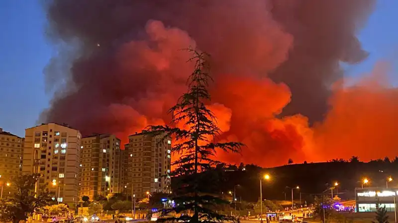 Bursa'da Yangınlar Şehri Tehdit Ediyor: Nedenleri ve Alınan Önlemler