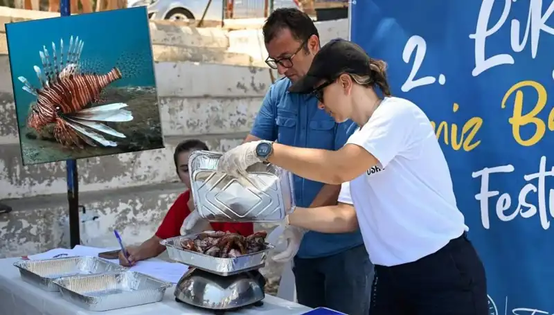 Antalya'da İstilacı Aslan Balığı Avlama Yarışması: Doğanın Korunması İçin Mücadele