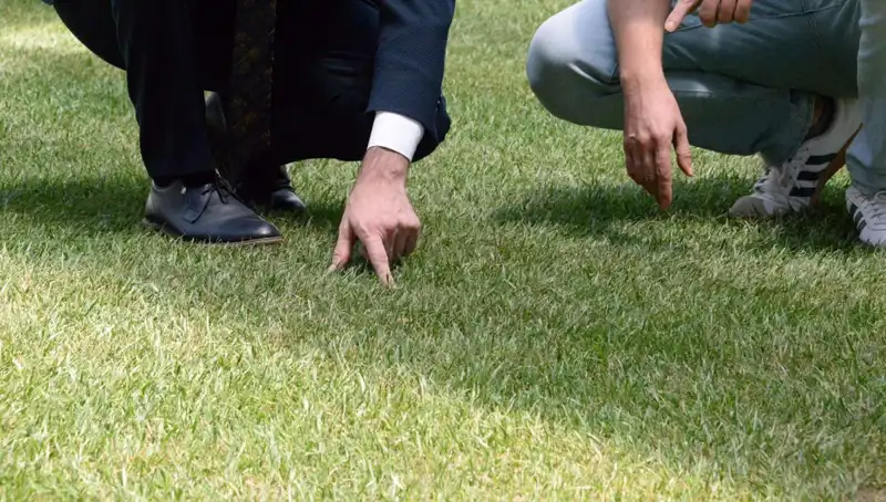 Tartışmalı Stadyum Zemini İçin Son Gelişmeler: Hazırlıklar Hız Kesmeden Devam Ediyor!