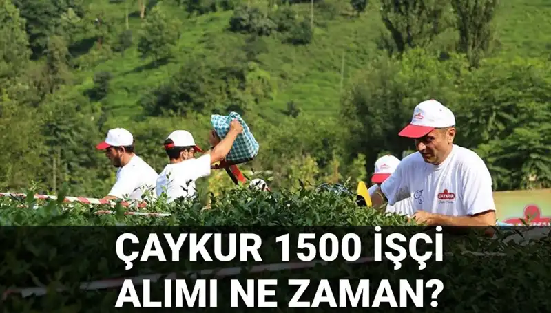 Çaykur İşçi Alımı İçin Başvuru Tarihleri Belli Oldu mu?