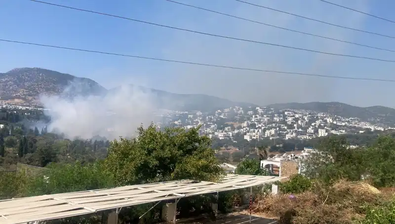Muğla'daki Orman Yangınları Kontrol Altına Alındı: Son Durum ve Alınan Önlemler