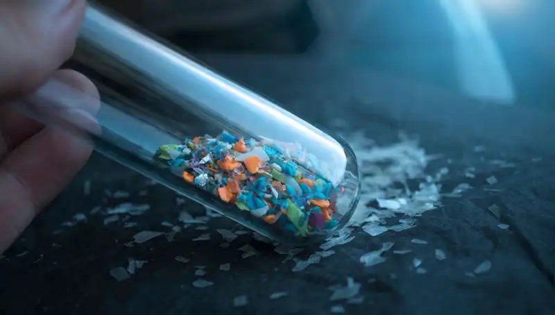 Mikroplastikler İnsan Beynine Sızdı: Sağlığımızı Tehdit Eden Etkileri Neler?