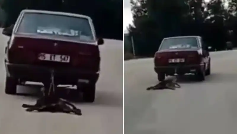 Aracının Arkasında Köpeği Sürükleyen Sürücüye Şok Ceza!
