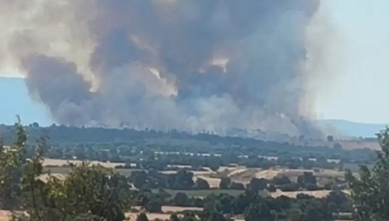 Edirne'de Komşu Orman Yangını: Şehir Duman Altında Kaldı