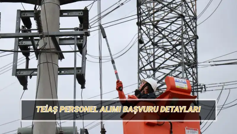 TEİAŞ Personel Alımı: Başvuru Tarihleri ve Şartlar Açıklandı!