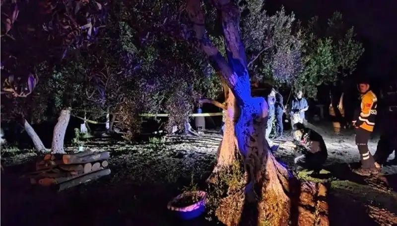 Çiftlikteki Baltalı Vahşete Şok Tutuklama: Olaya Dair Tüm Detaylar