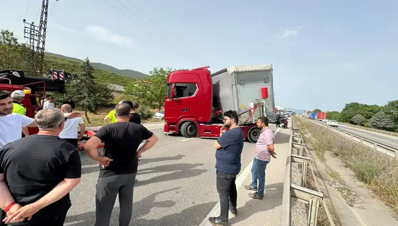 Seyir Halindeki Araçta Arı Soktu, Trafik Kilitlendi ve Kaos Başladı