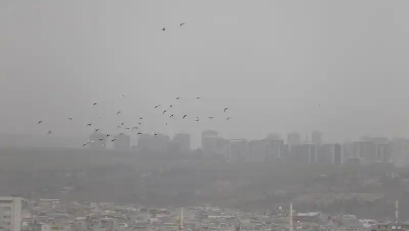 Şanlıurfa'da Toz Bulutları Hayatı Olumsuz Etkiliyor: Sağlık ve Trafik Tehdit Altında