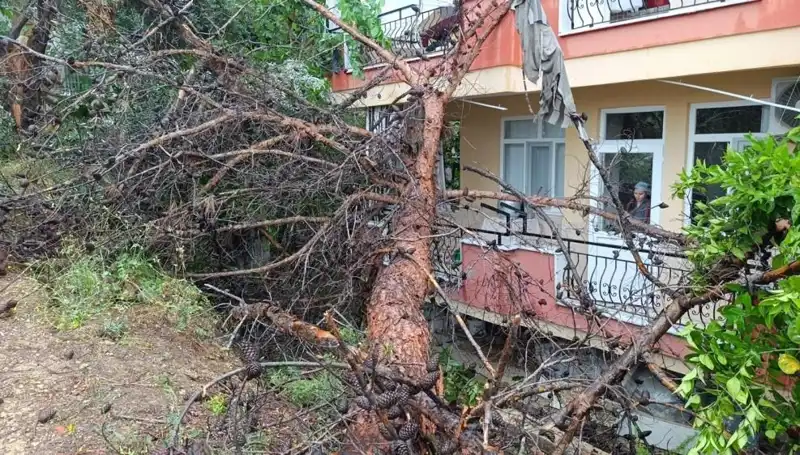 Yağmura Dayanamadı: Bina Devrildi, Son Dakika Gelişmeleri