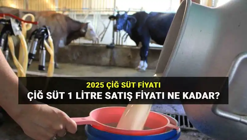 2025’te Çiğ Süt Fiyatları: Ulusal Süt Konseyi'nden Şok Açıklama!