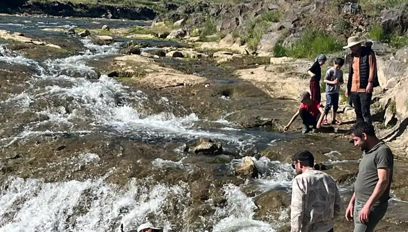 İnci Kefalinin Efsanevi Göçü: Doğanın Büyüsüne Tanıklık İçin Yolculuk