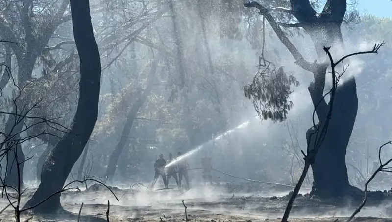 Çanakkale, Antalya ve Hatay Yangınları Kontrol Altına Alındı: Yeni Gelişmeler