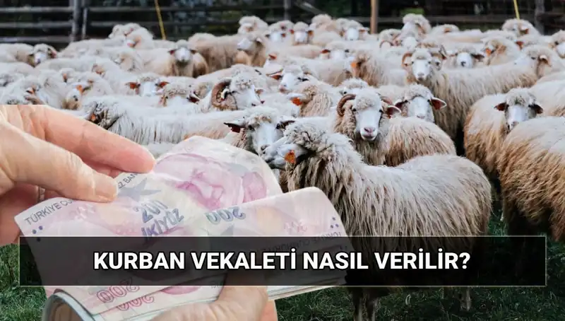 Vekaletle Kurban Kesimi: Diyanet'in 2025 Bedeli ve Süreç Detayları