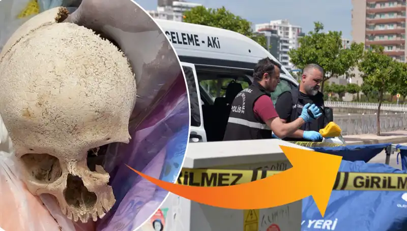 Sitenin Çöpünde Bulunan Kafatasının Gizemi: Uzman Doktor Gözaltında!