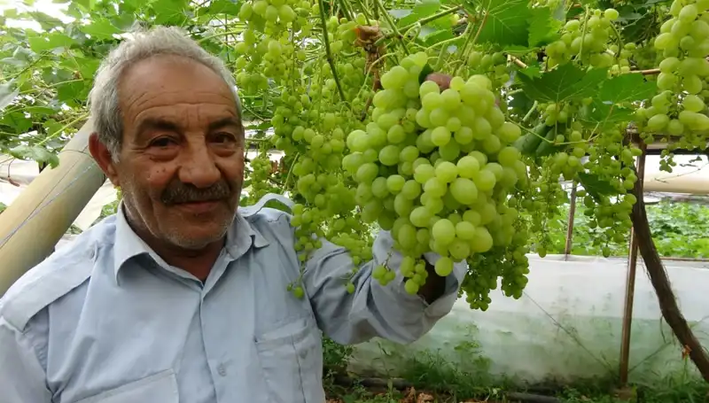 Zirai Don Sonrası Meyve Fiyatları Alev Alev: İlk Ürünler 250 TL'den Pazara Girdi