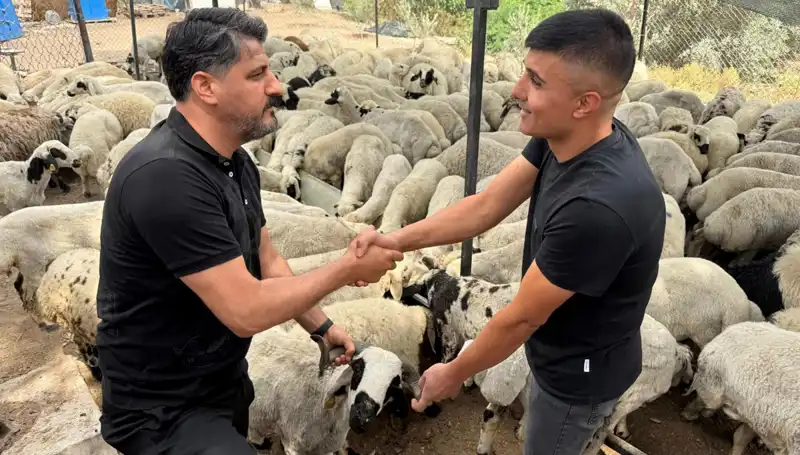 Kurbanlık Alırken Dikkat Edilmesi Gerekenler: Tuz ve Sumak Uyarısı