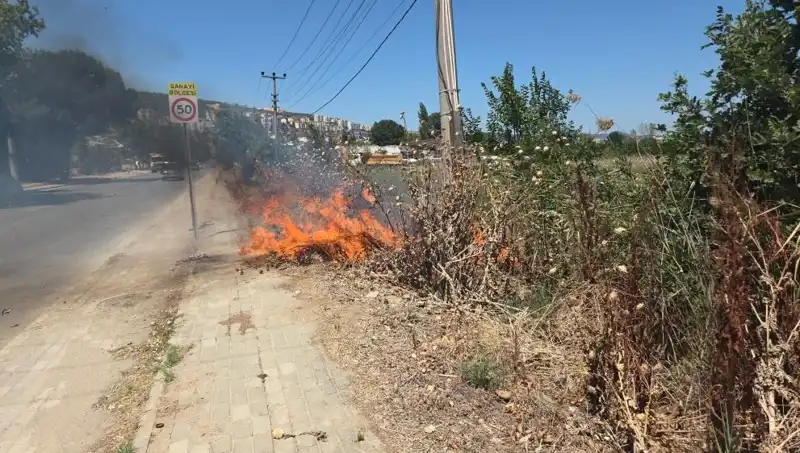 Bursa'da Otluk Alanda Çıkan Yangın, Korkutan Manzaralarla Sonuçlandı