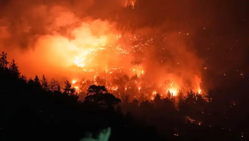 Bursa-Balıkesir Sınırındaki Orman Yangını Kontrol Altına Alındı, İyi Haber