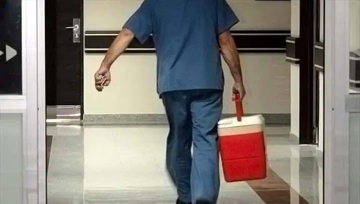 Organ Bağışında Devrim: e-Devlet ve e-Nabız ile Yeni Fırsatlar