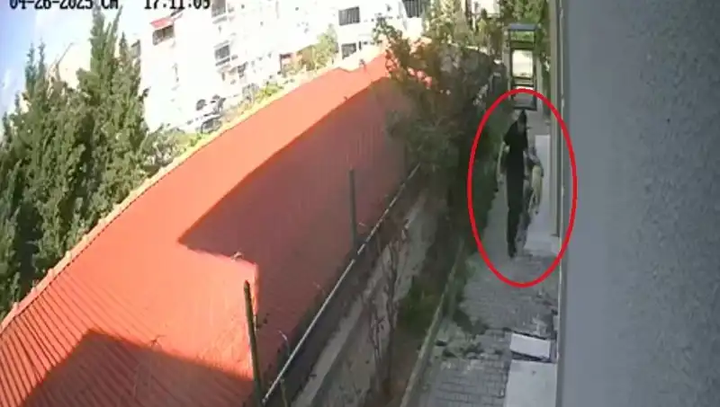 Hayvanları Koruma Kanunu İhlali: Doktorun Dehşet Verici Köpek İhlali