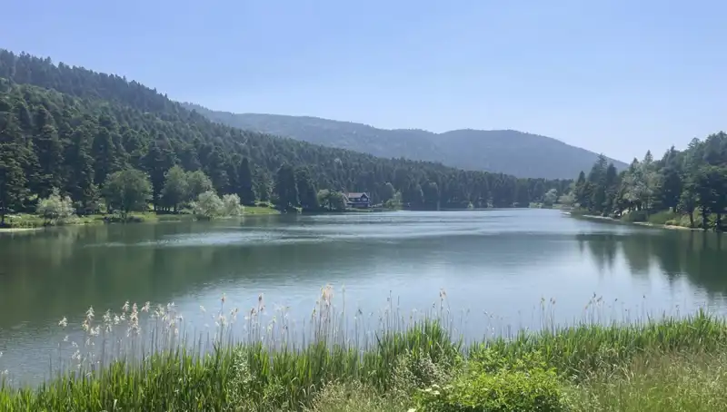 Bolu'nun Milli Parkları Ziyaretçi Akınına Uğradı, Doğanın Keyfi Çıkıyor