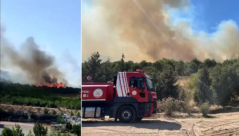 Gebze’deki Orman Yangını Nedenleri ve Ortaya Çıkardığı Tehlikeler