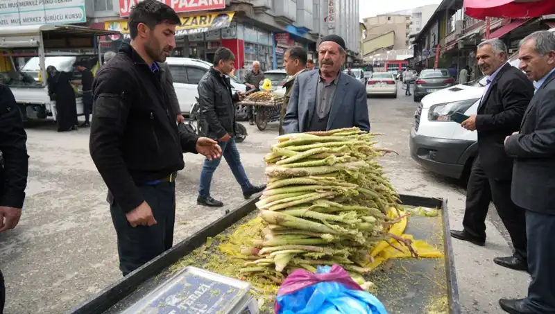 Dağlardan Gelen Şeker: Sağlık Faydaları ile Dikkat Çekiyor